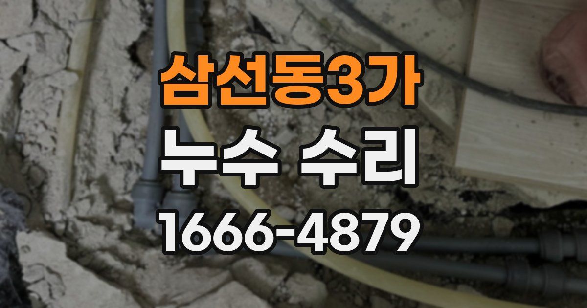 삼선동3가 누수 수리
