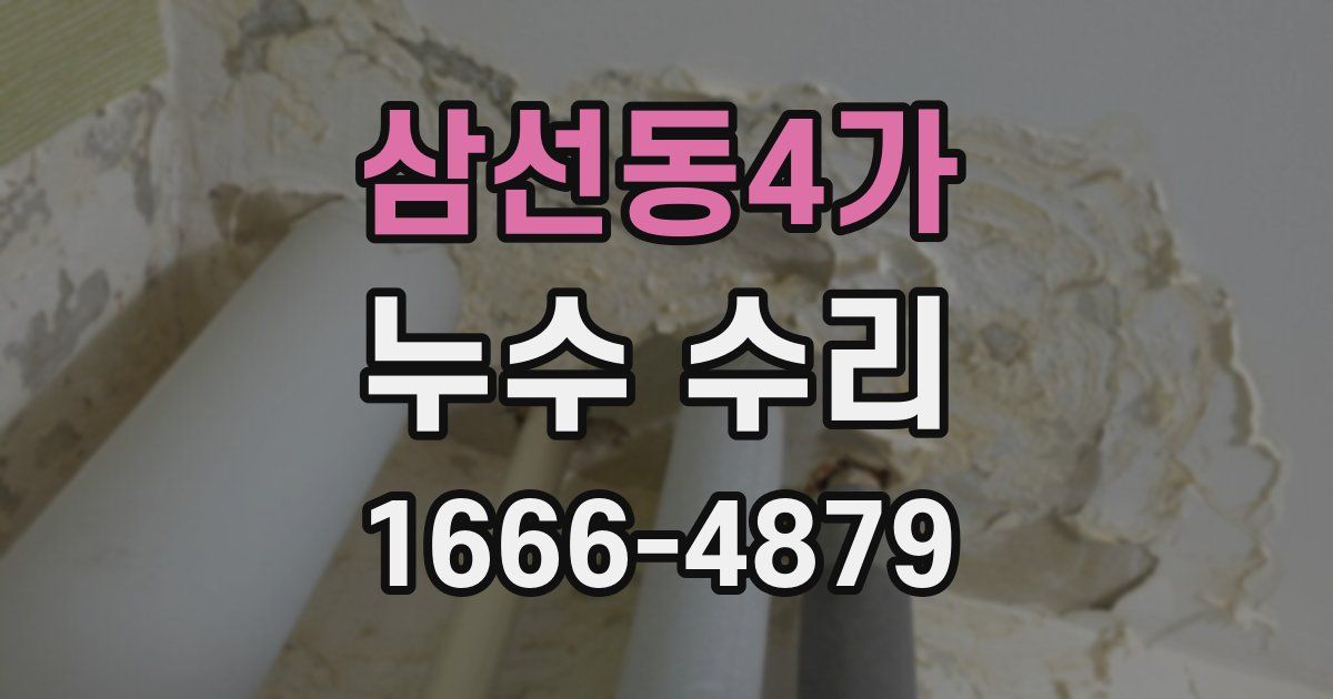 삼선동4가 누수 수리