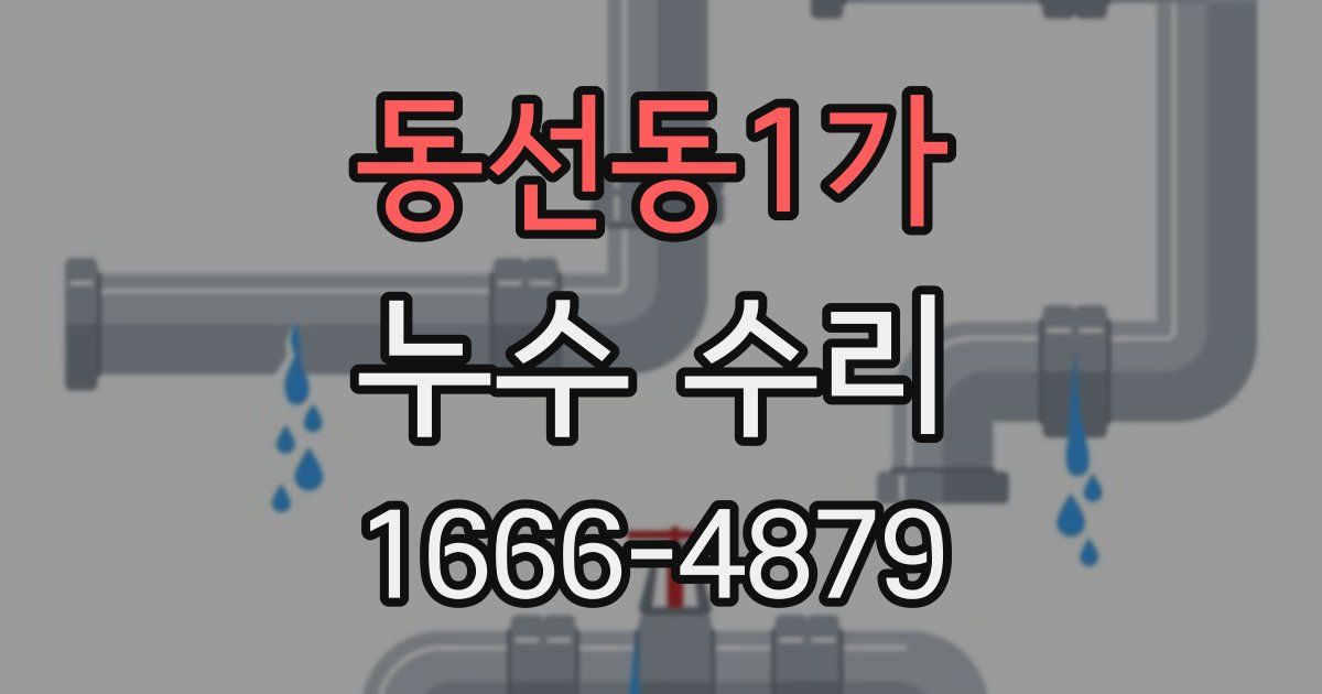동선동1가 누수 수리