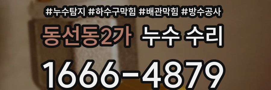 동선동2가 누수 수리