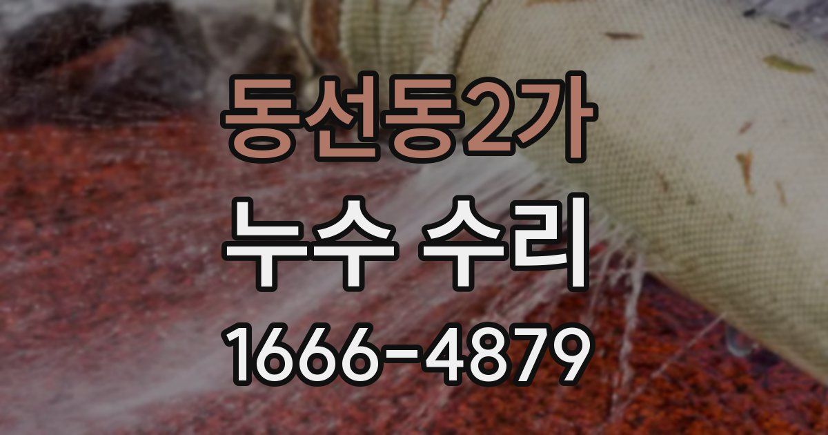 동선동2가 누수 수리