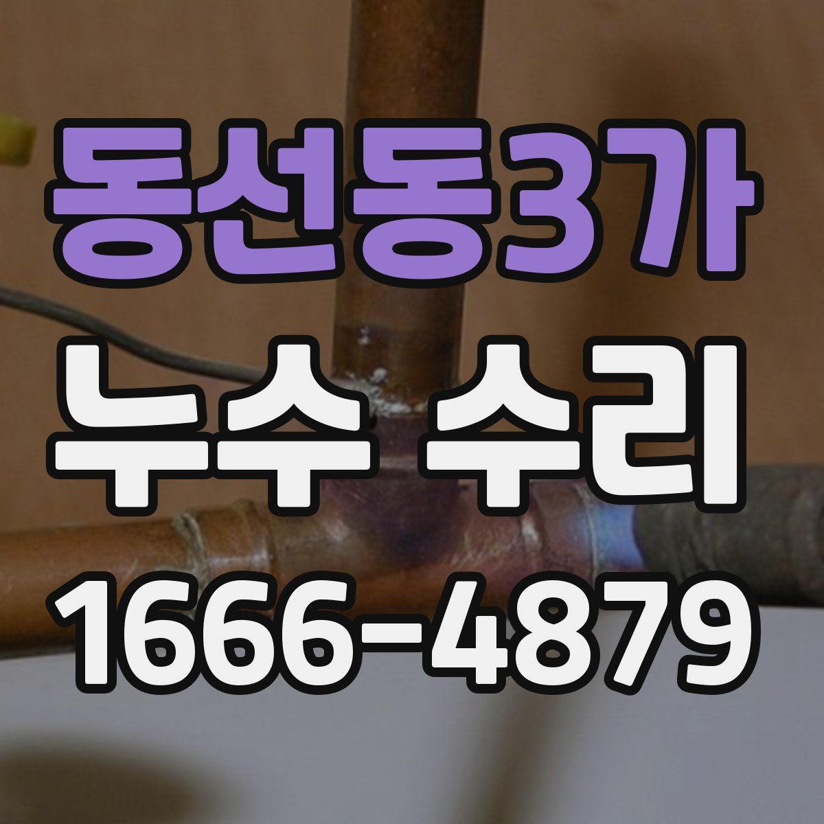 동선동3가 누수 수리