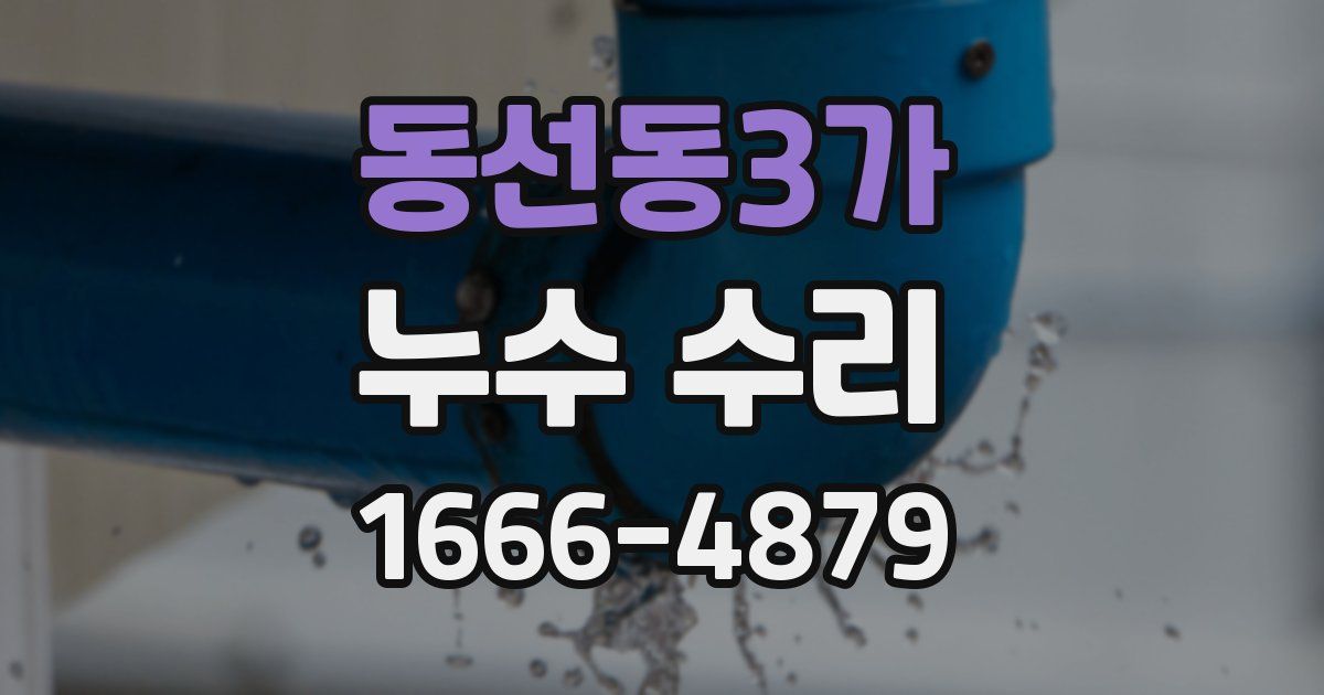 동선동3가 누수 수리