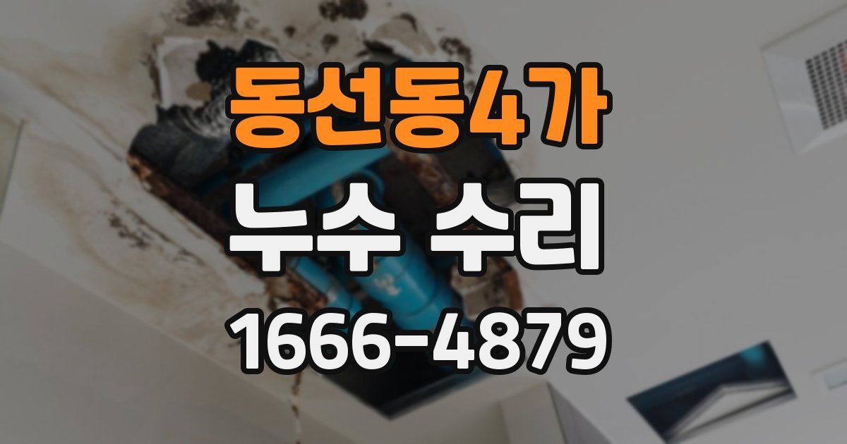 동선동4가 누수 수리