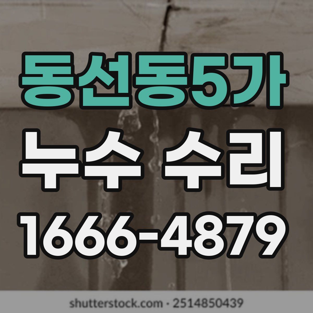 동선동5가 누수 수리