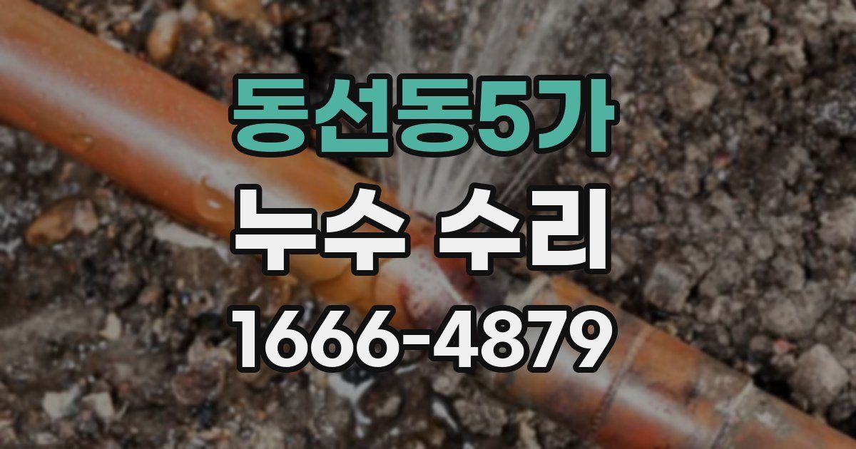동선동5가 누수 수리