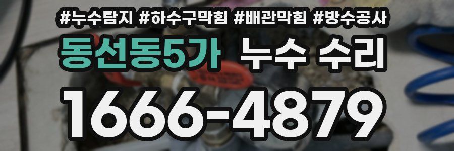 동선동5가 누수 수리
