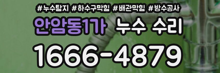 안암동1가 누수 수리