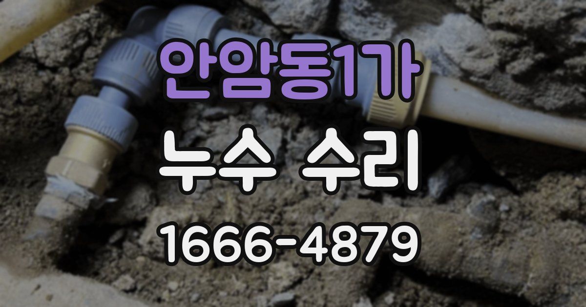 안암동1가 누수 수리
