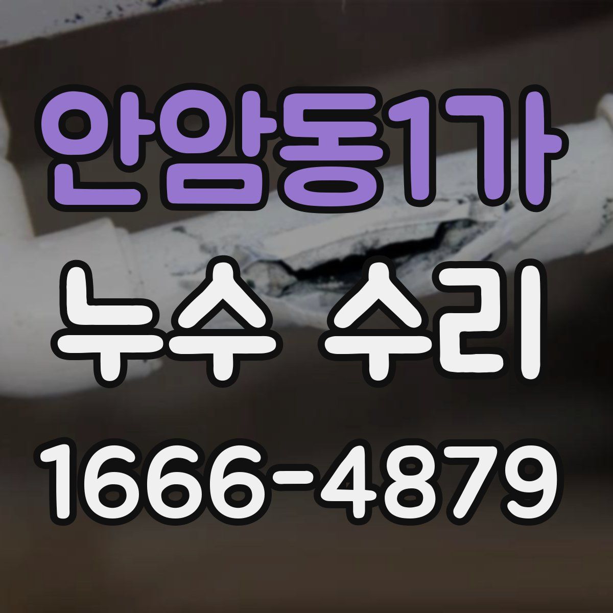 안암동1가 누수 수리