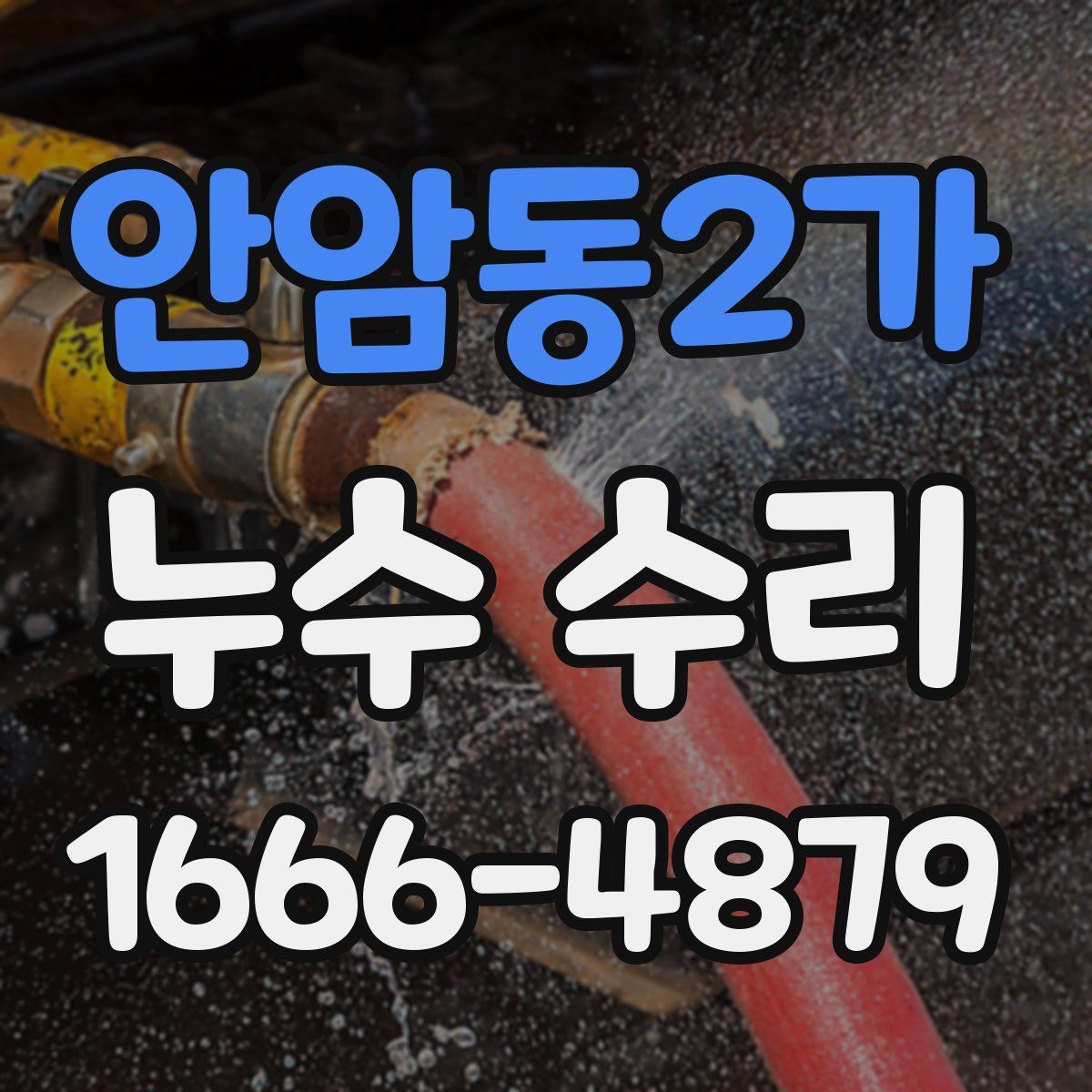 안암동2가 누수 수리