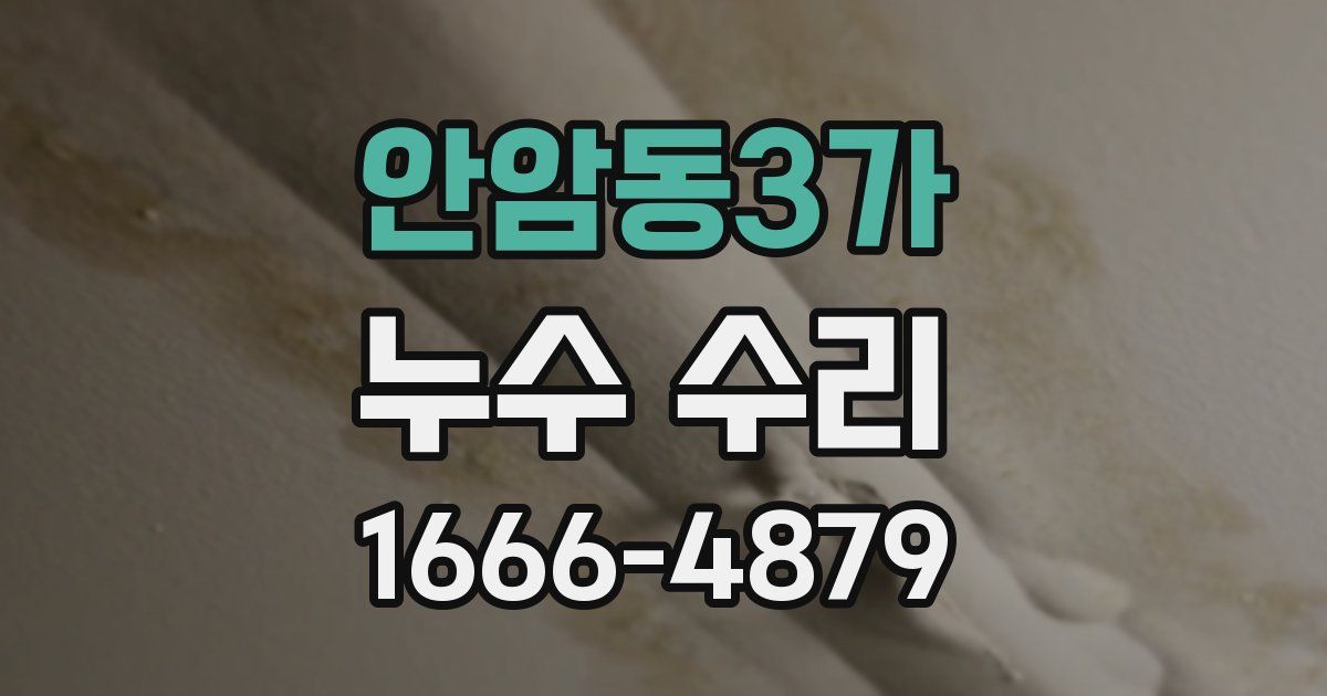 안암동3가 누수 수리