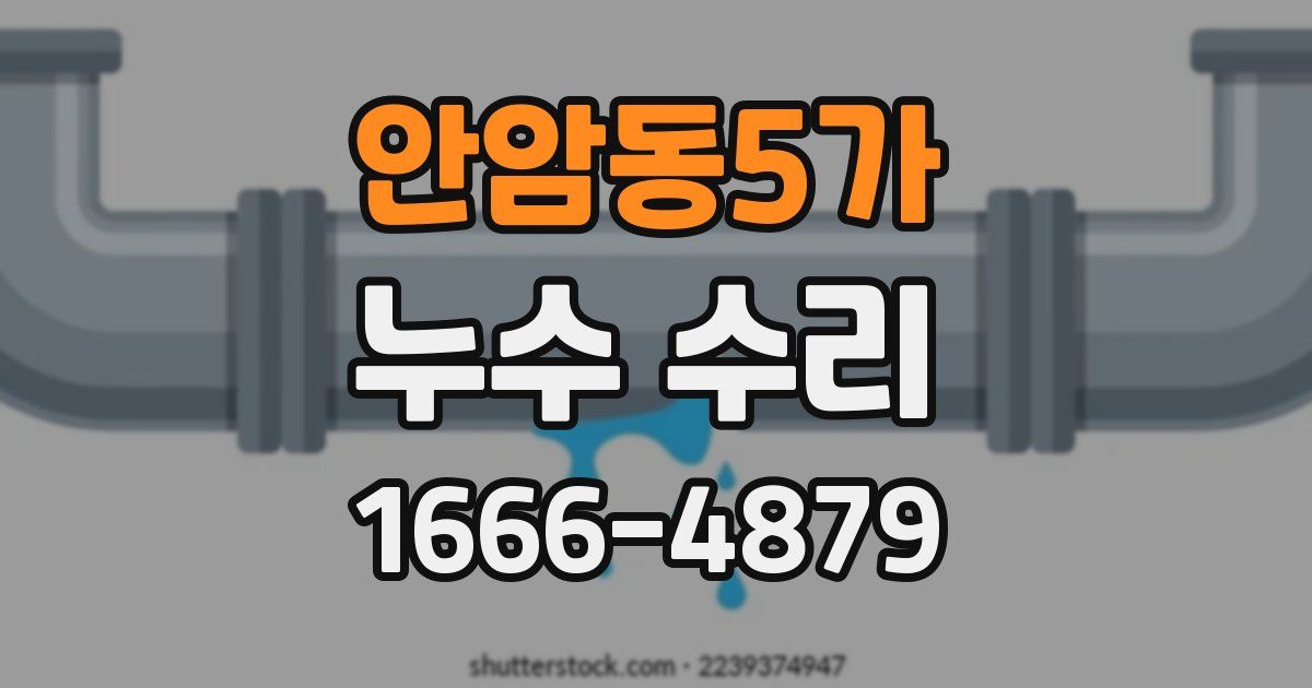안암동5가 누수 수리