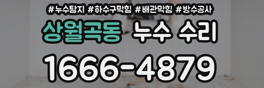 상월곡동 누수 수리