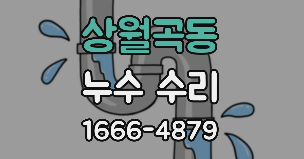 상월곡동 누수 수리