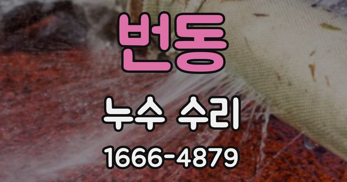 번동 누수 수리