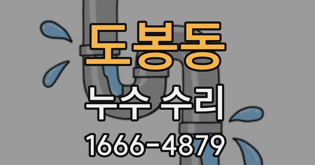 도봉동 누수 수리