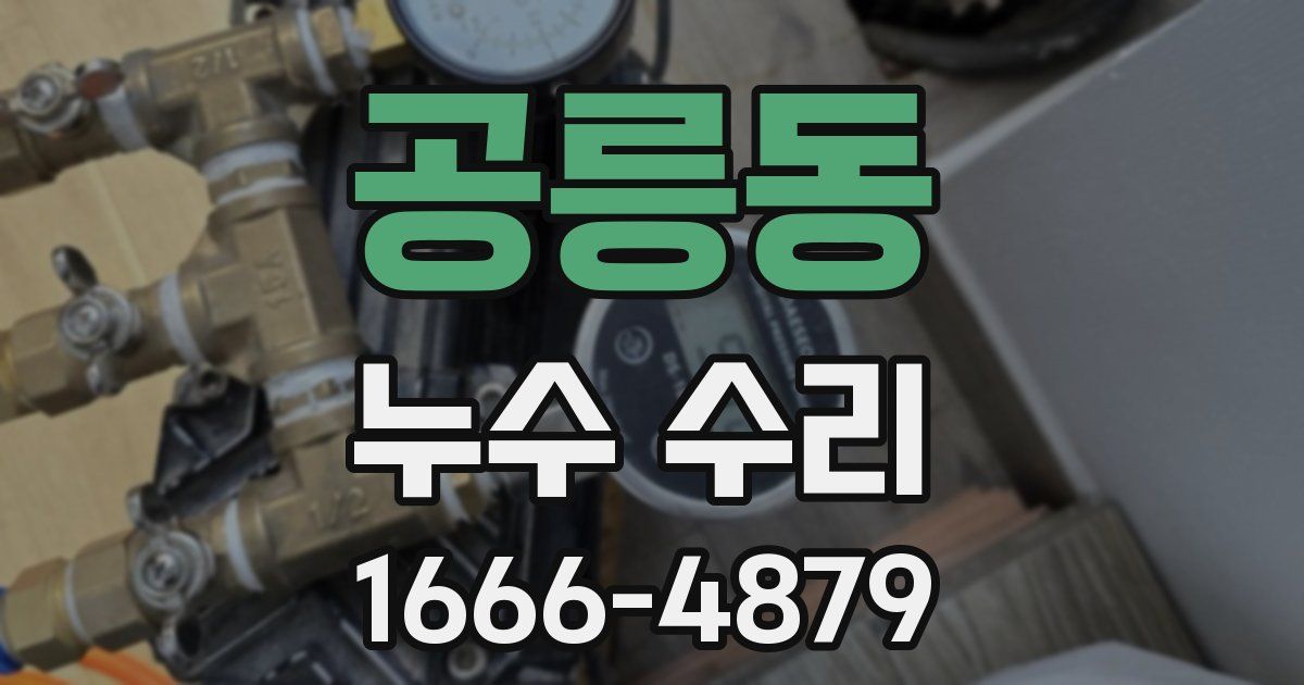 공릉동 누수 수리