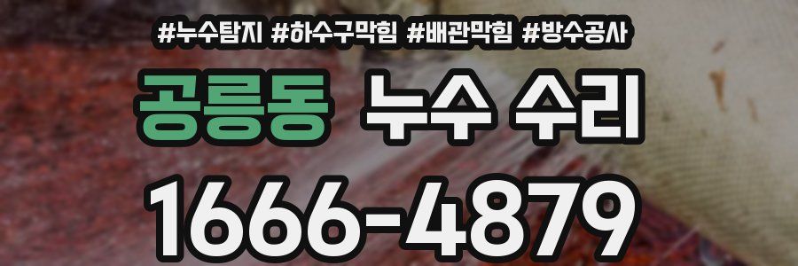 공릉동 누수 수리