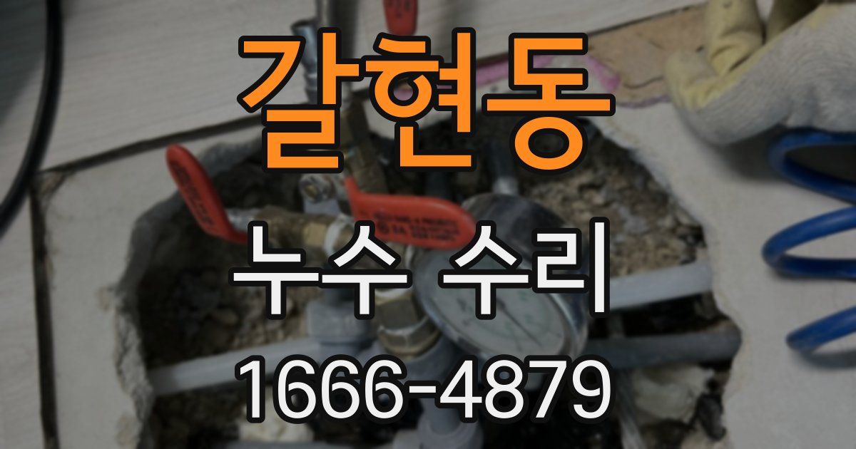 갈현동 누수 수리