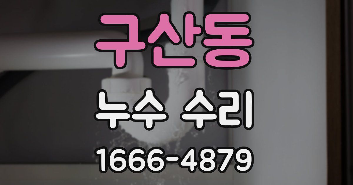 구산동 누수 수리