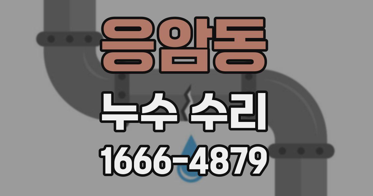 응암동 누수 수리