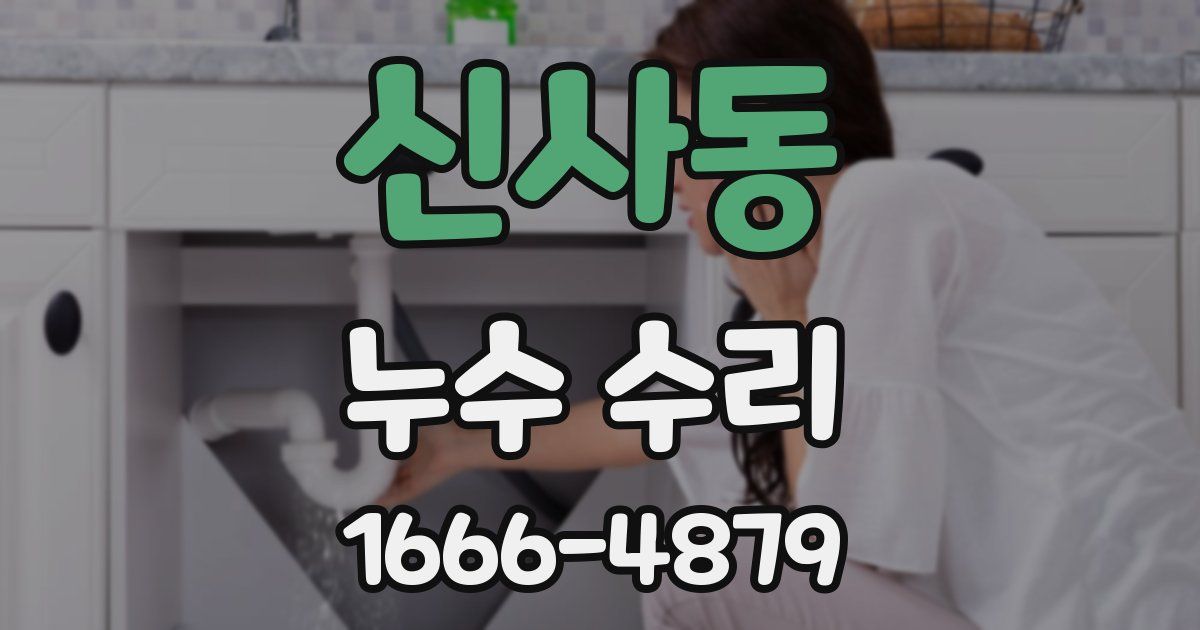 신사동 누수 수리