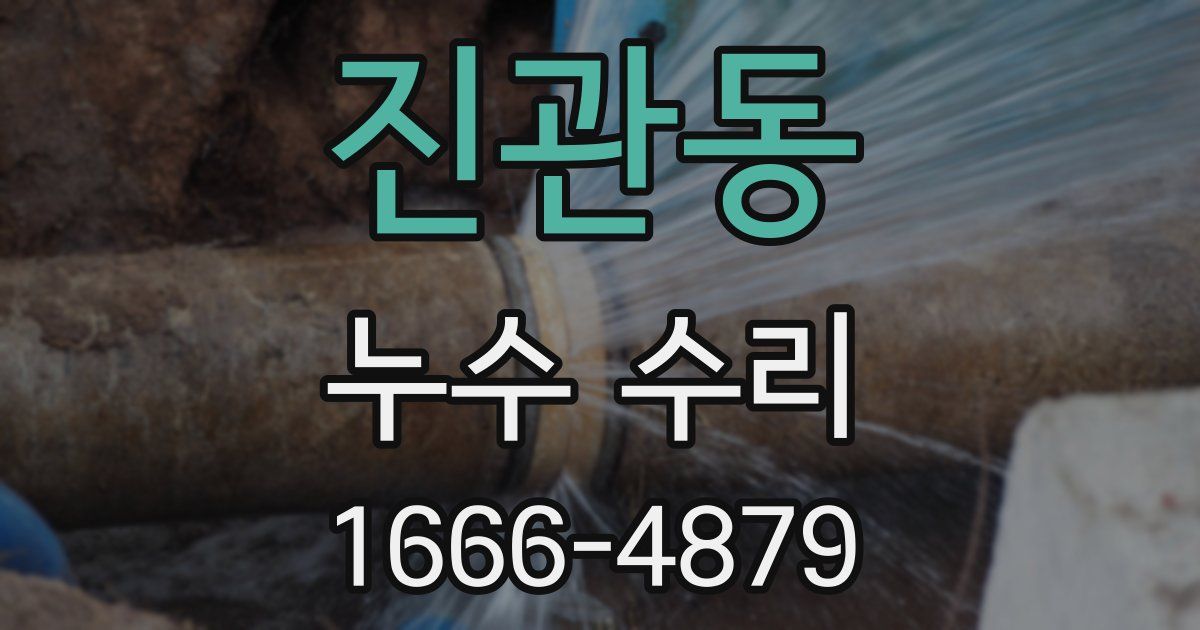 진관동 누수 수리