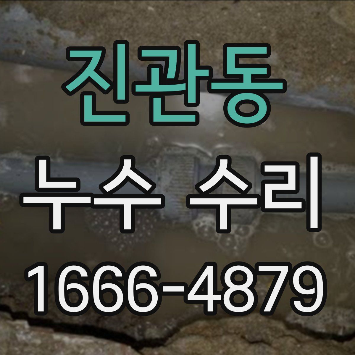 진관동 누수 수리