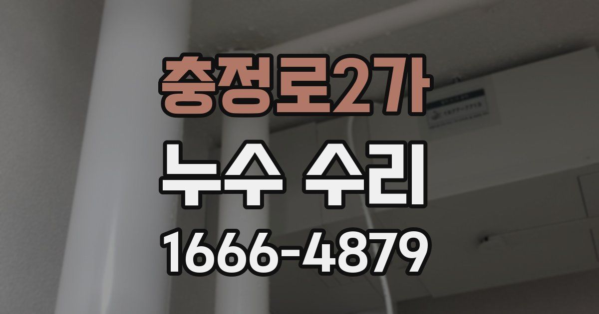 충정로2가 누수 수리