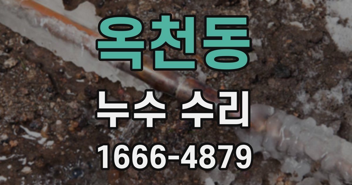 옥천동 누수 수리