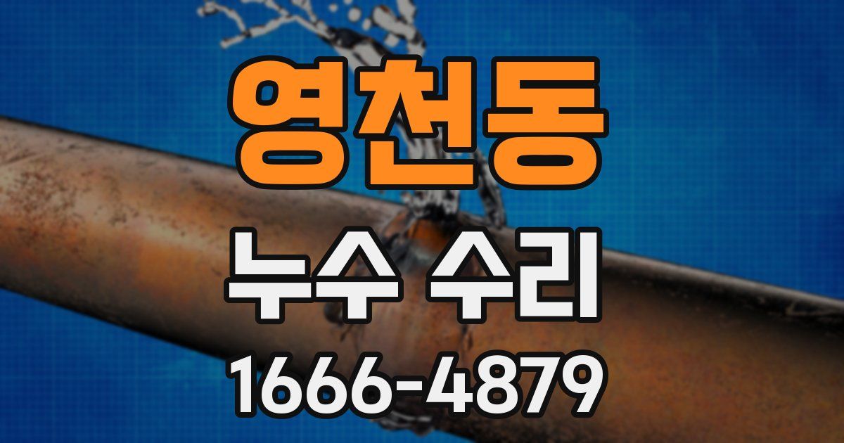 영천동 누수 수리