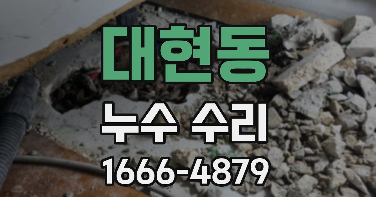 대현동 누수 수리