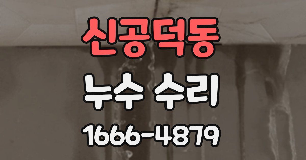 신공덕동 누수 수리