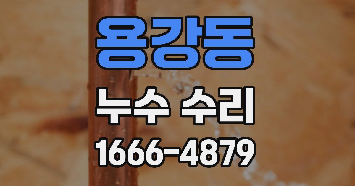 용강동 누수 수리
