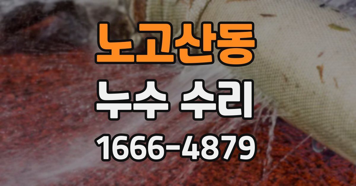 노고산동 누수 수리
