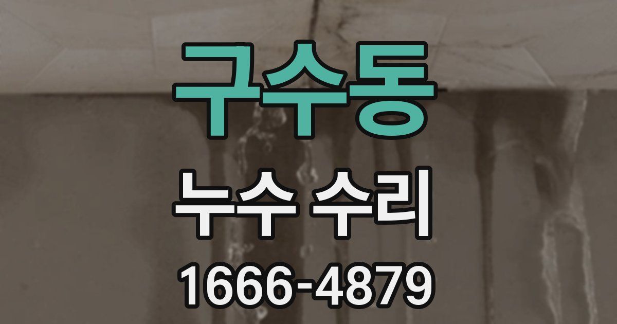 구수동 누수 수리