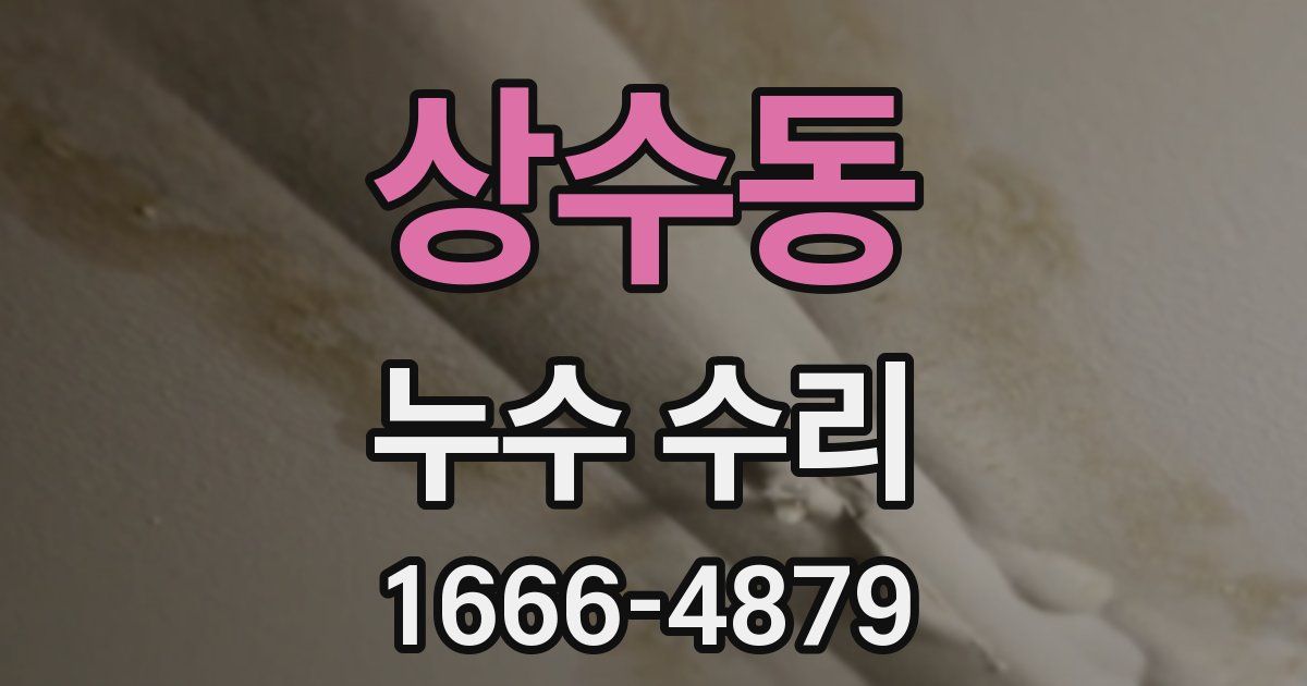 상수동 누수 수리