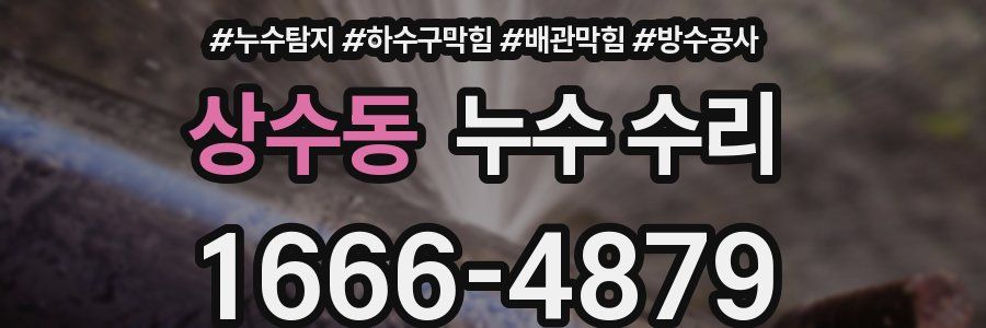 상수동 누수 수리