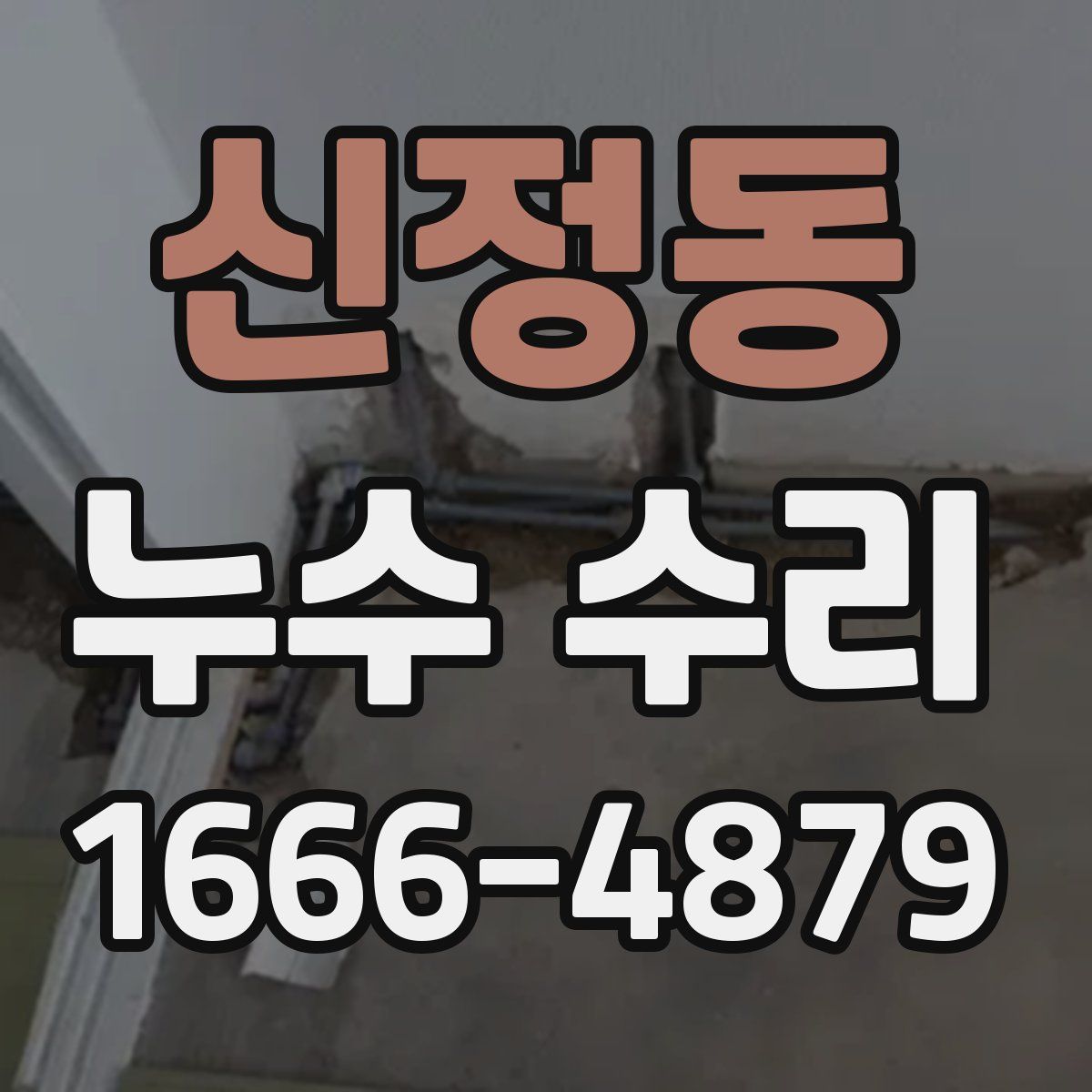 신정동 누수 수리