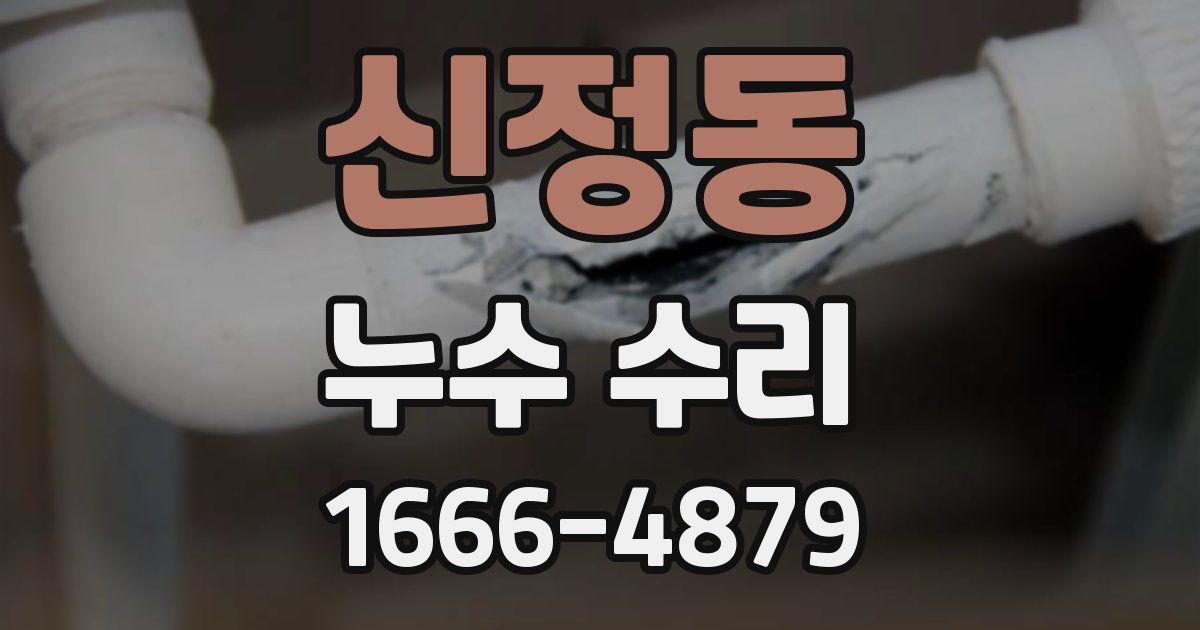 신정동 누수 수리