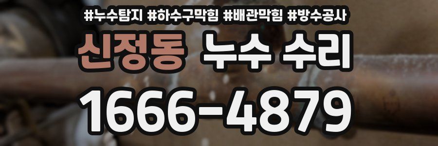 신정동 누수 수리