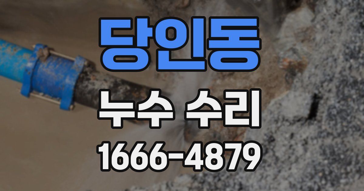당인동 누수 수리