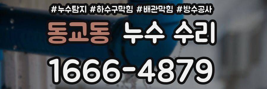 동교동 누수 수리