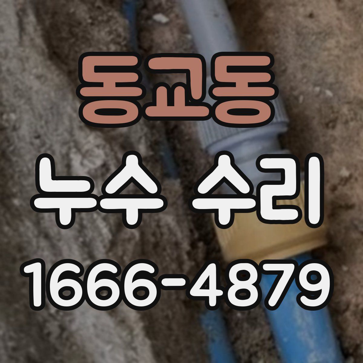 동교동 누수 수리