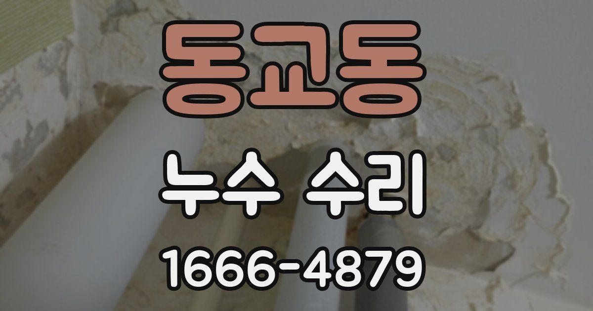 동교동 누수 수리