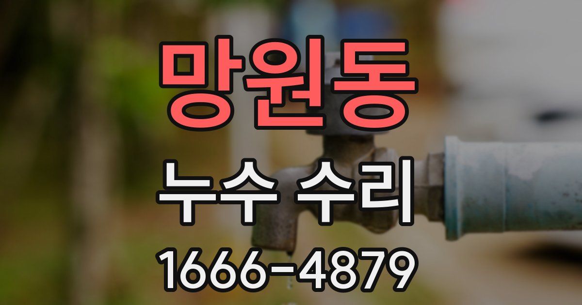 망원동 누수 수리