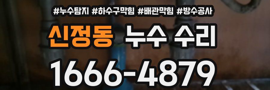신정동 누수 수리