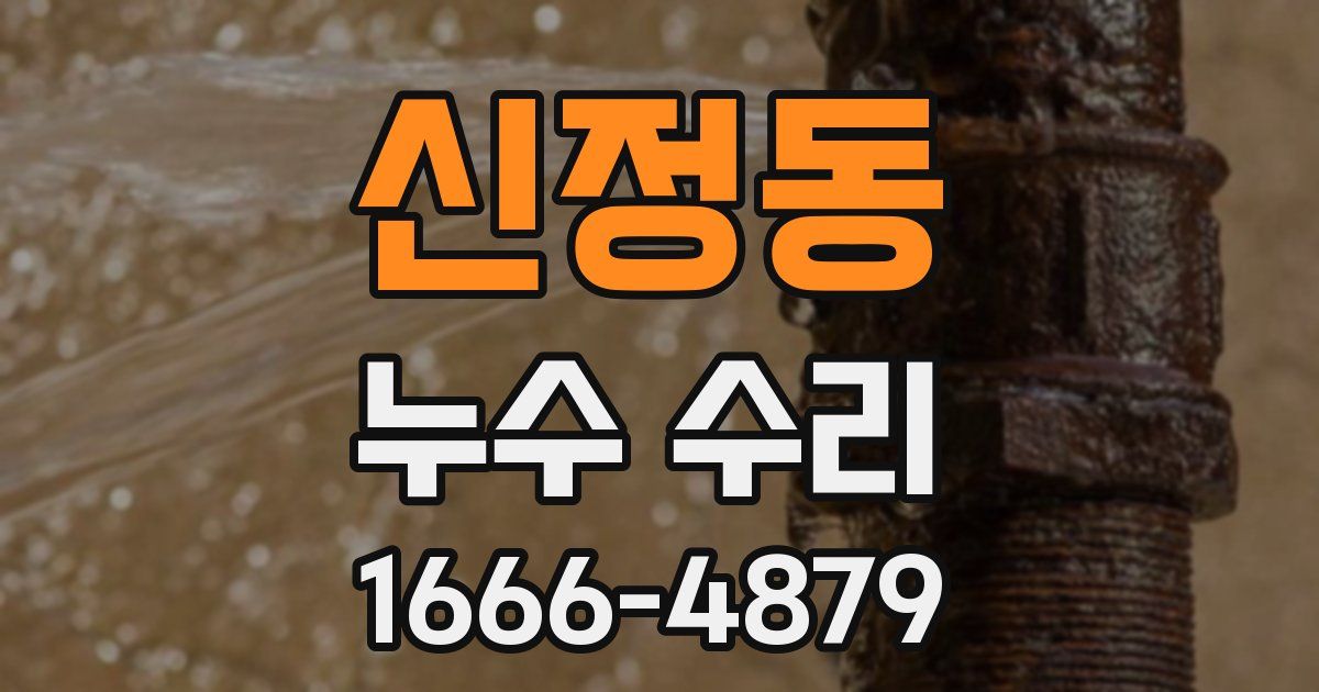 신정동 누수 수리