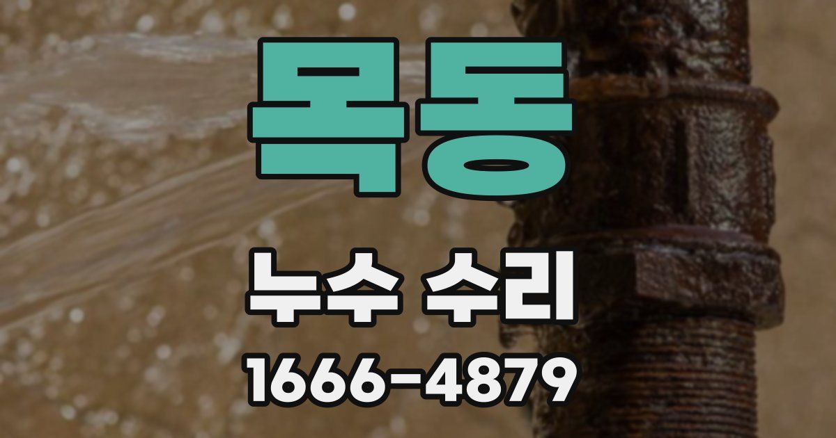 목동 누수 수리